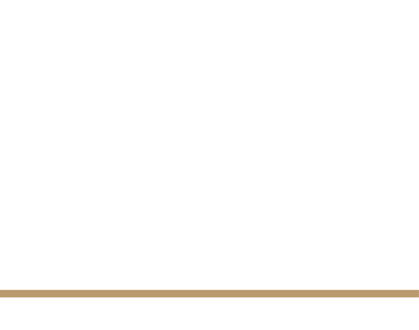 HC Professional Logo